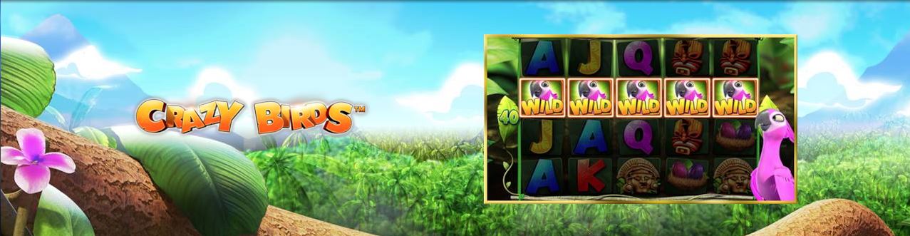 Crazy Birds ™ – Un nou super slot de la Admiral