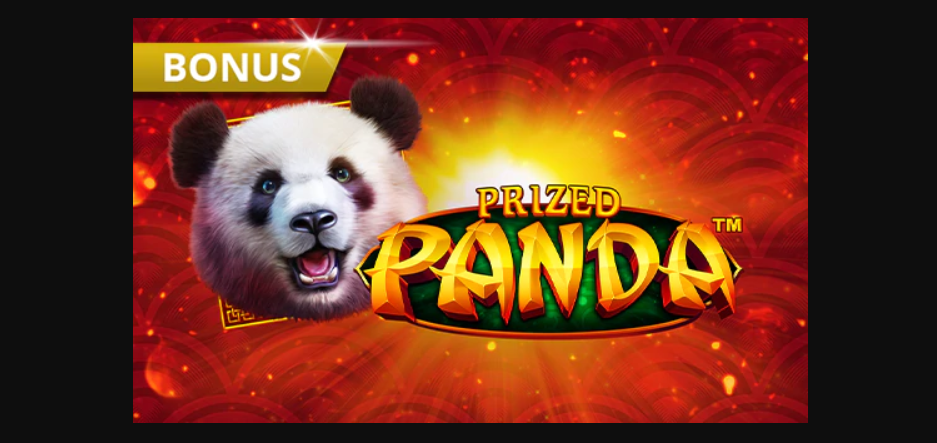 50% bonus pana la 250 RON de la Admiral Casino