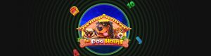 the dog house